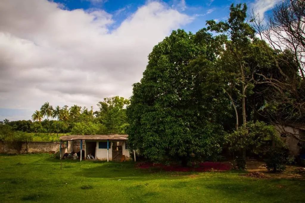 foto - Itaguaí - Mazomba