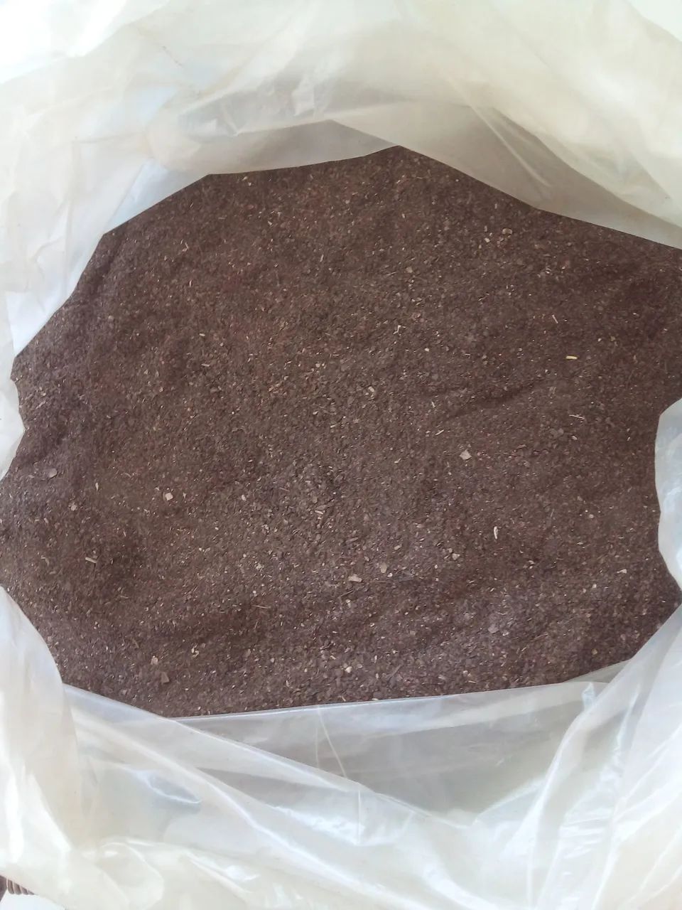 Pimenta do Reino 64313659458819120