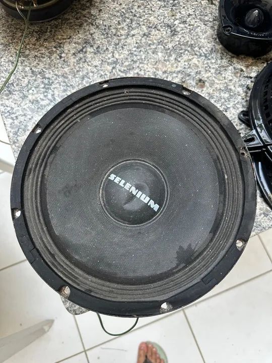 2 Woofer Selenium 10pw3