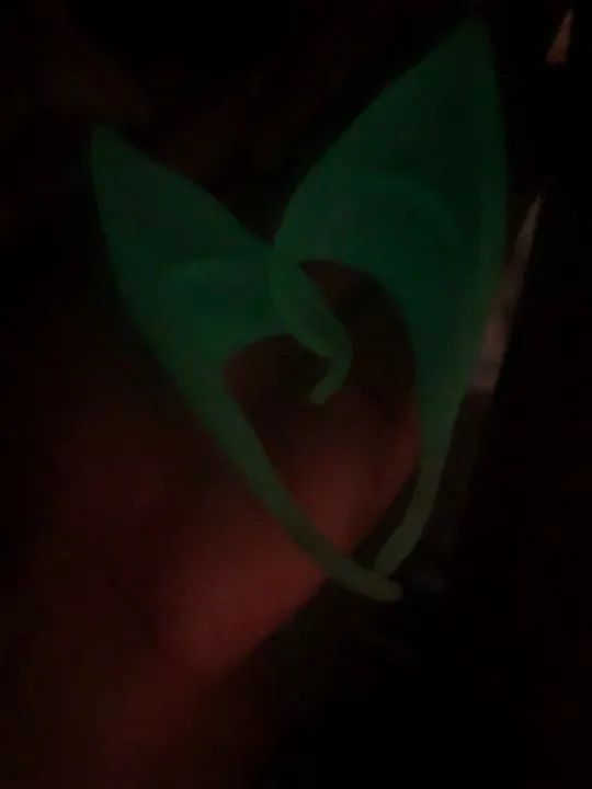Orelhas de Elfo florescente  - Foto 2