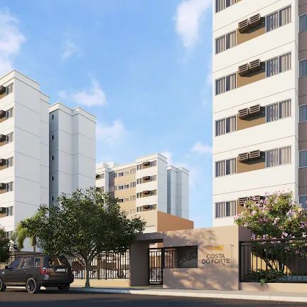 Foto - Paulista - Pau Amarelo