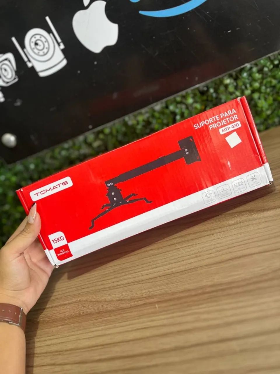 Stainless Steel Projector Mount TOMATE - 15KG402625272795648000
