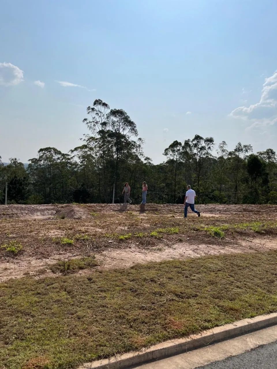 TERRENO MOSAICO HORIZONTES 332m² - Foto 3