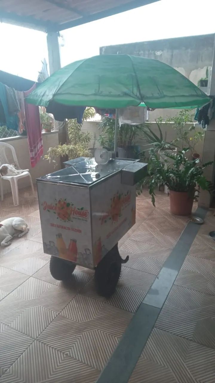 Carrinho de Açaí, Picolé, Sorvete e Bebidas - Com placas de Gelo - Foto 4