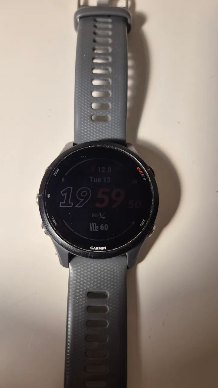 Garmin Forerunner 255 