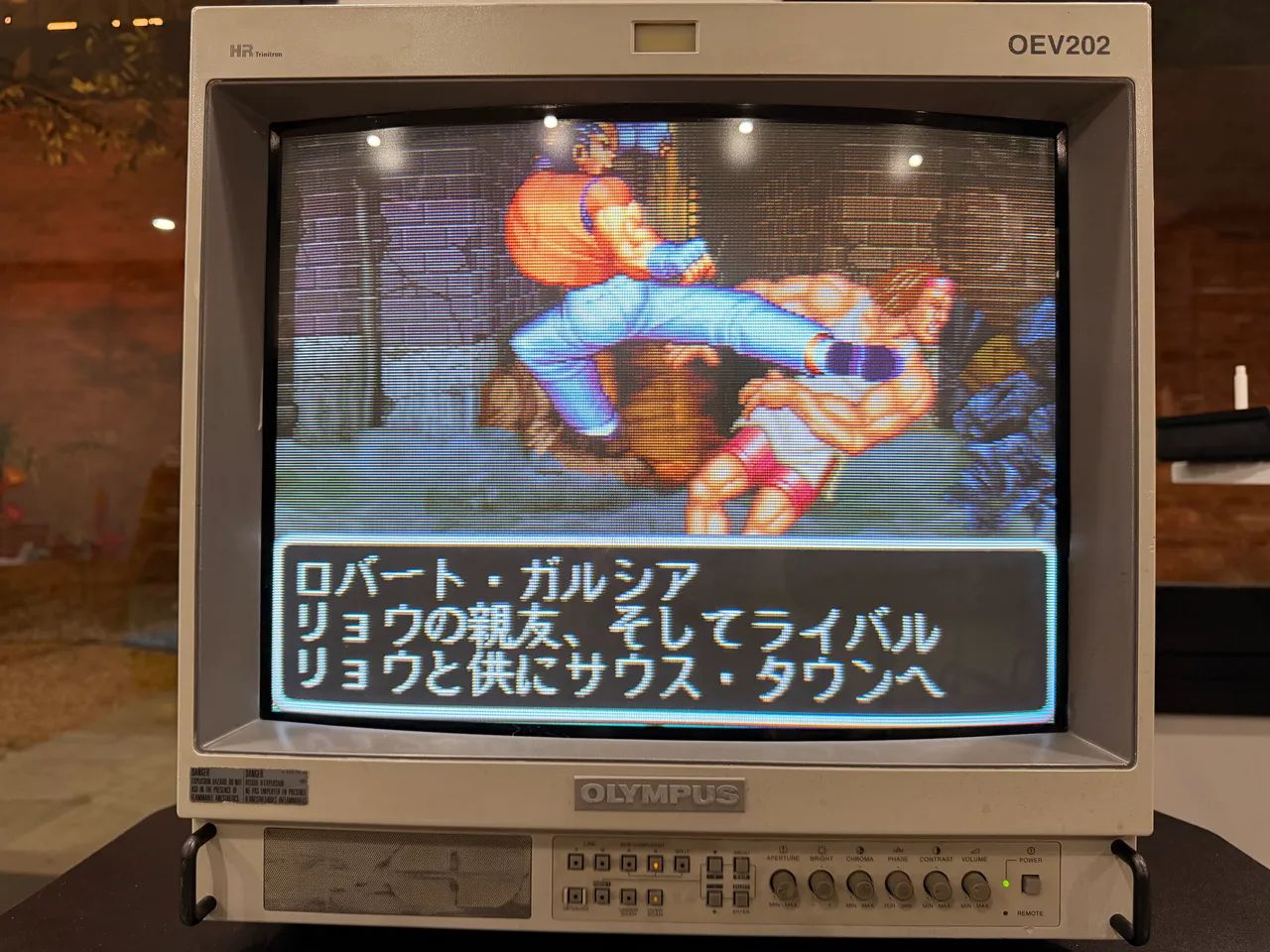 Monitor Profissional Olympus OEV202 Sony Trinitron PVM 20? RGB - Retrogame / Arcade - Foto 3