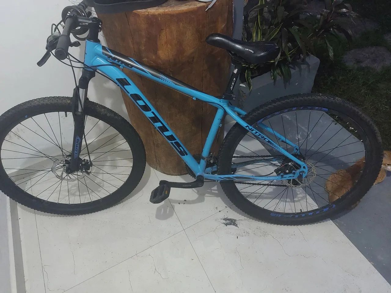 Bike lotus aro 29 MTB