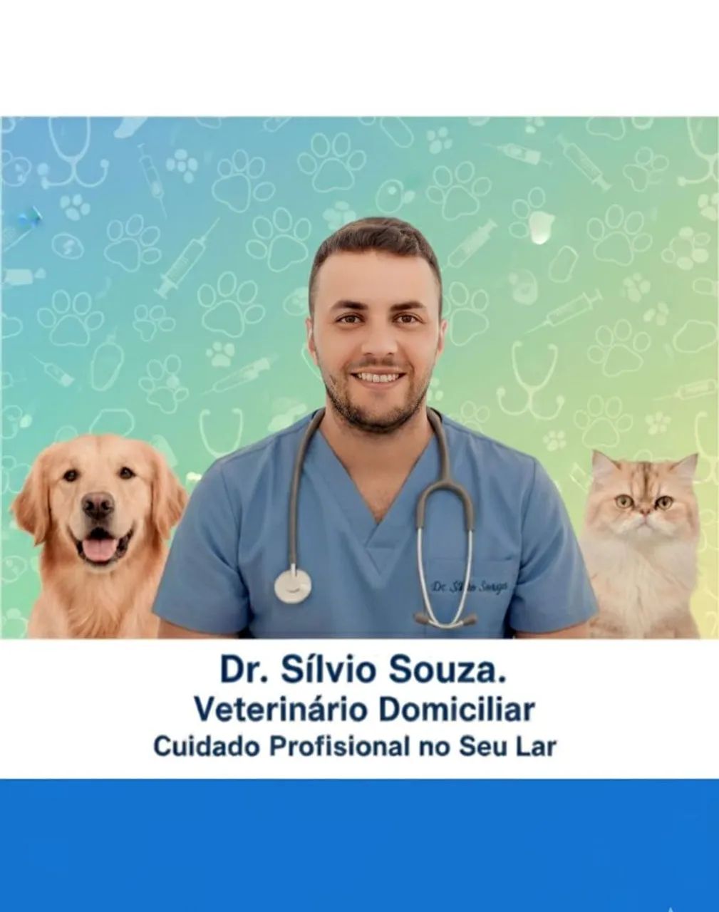 Veterinário no domicílio  - Foto 2