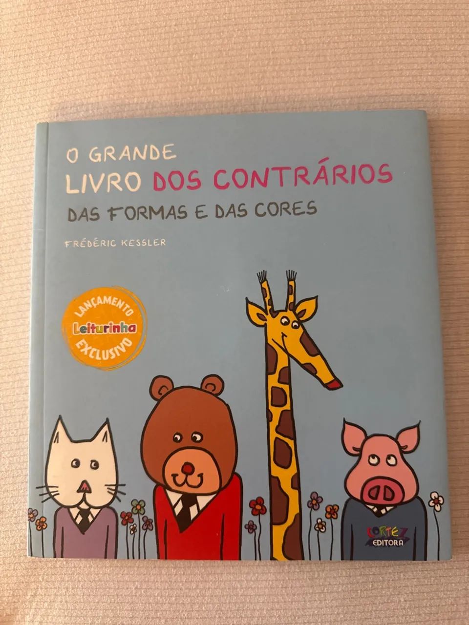 Livros infantis diversos