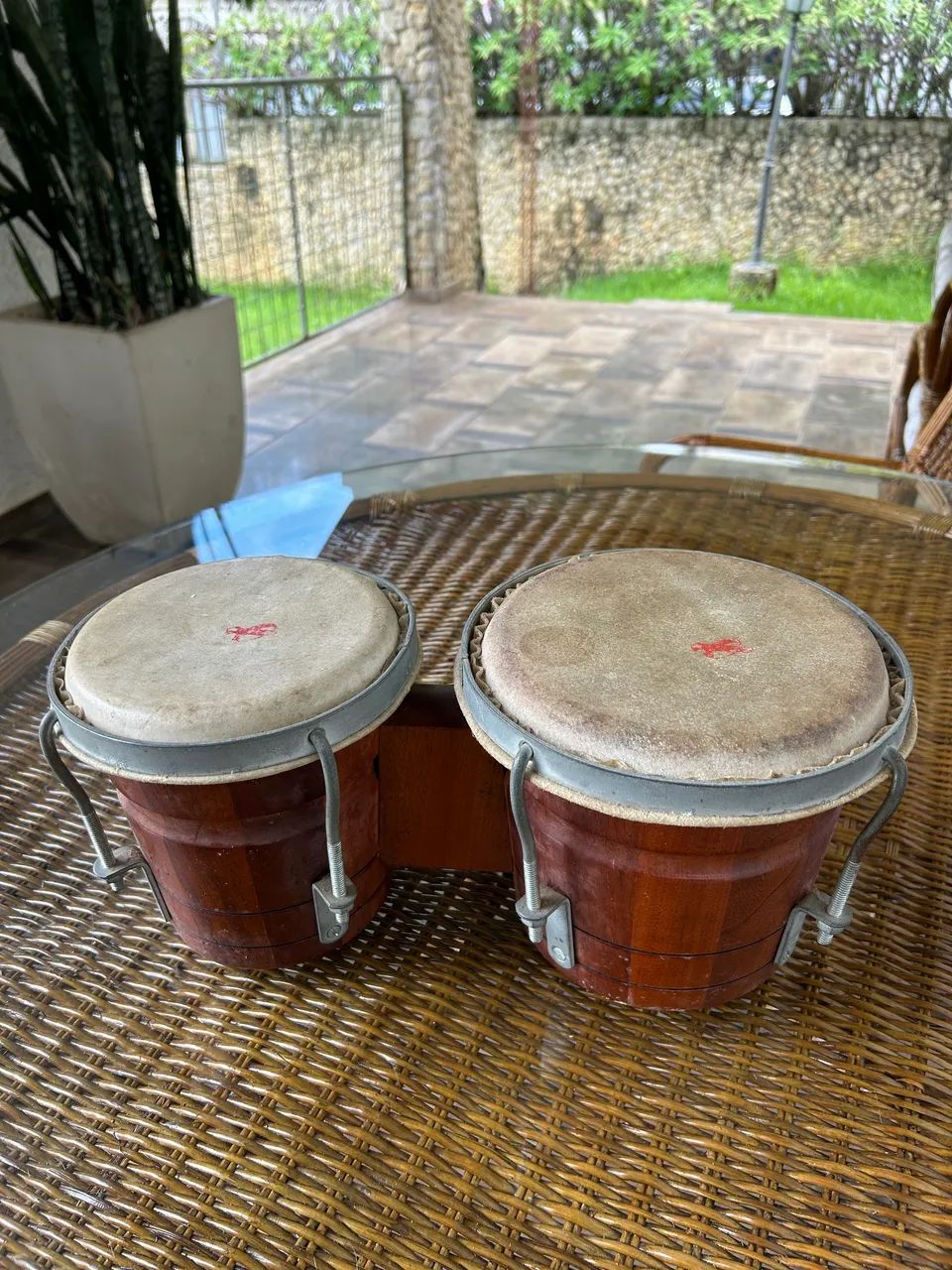 Bongo em Madeira maciça 