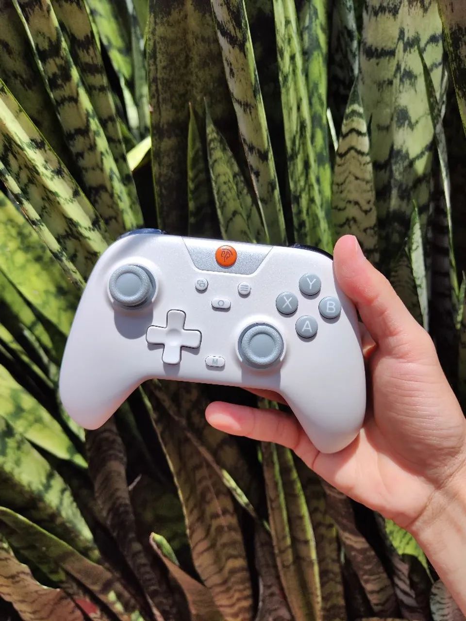 Controle Easysmx X05 Hall Efect Lacrados 