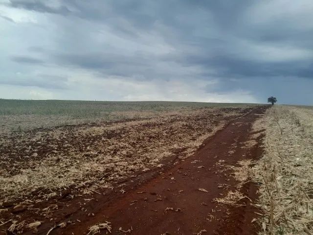 Sítio 7 Alqueires Divisa Dr Camargo/Água Boa - Foto 3