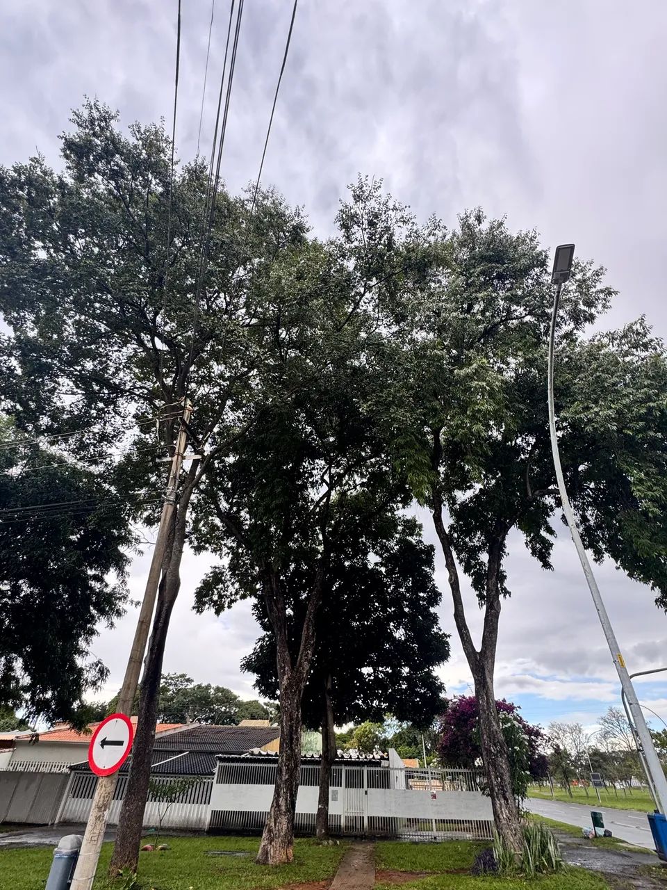 Foto - Brasília - Asa Norte