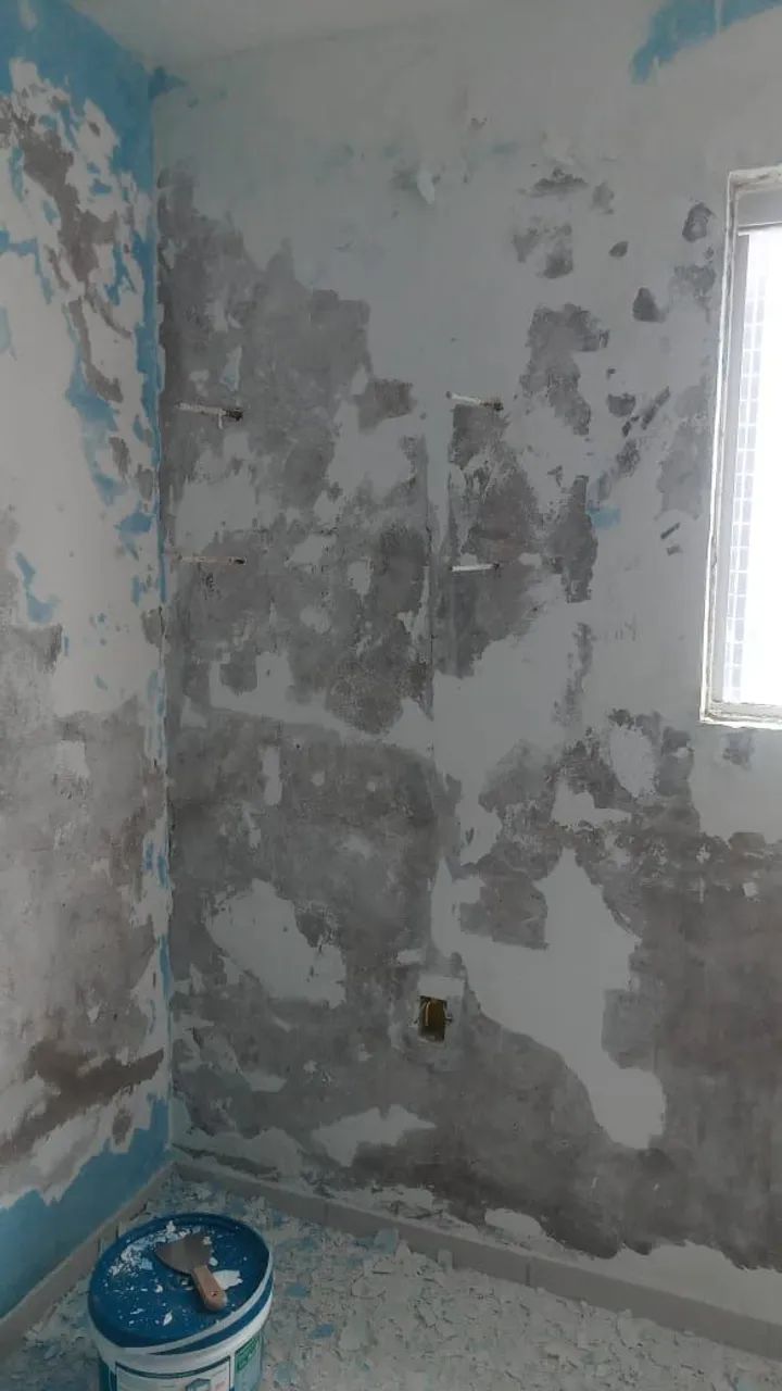Pintor profissional  - Foto 2