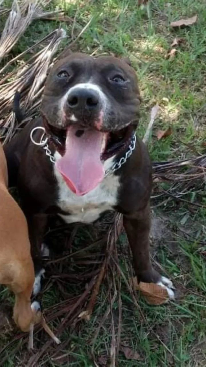 Vende se - Foto 4