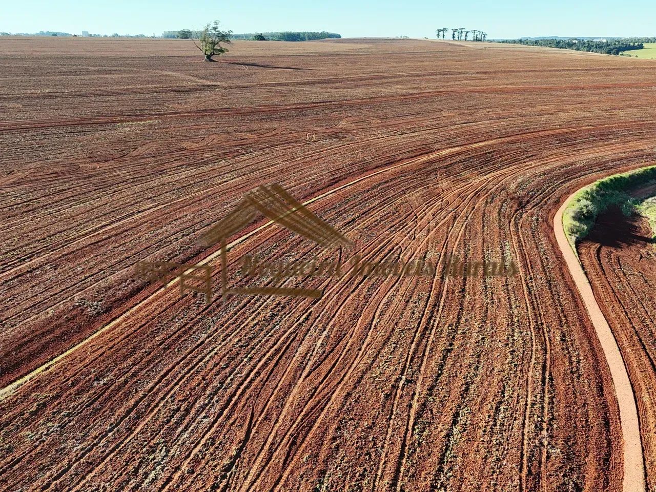 Fazenda com 100 alqueires em Avaré-SP - Foto 2