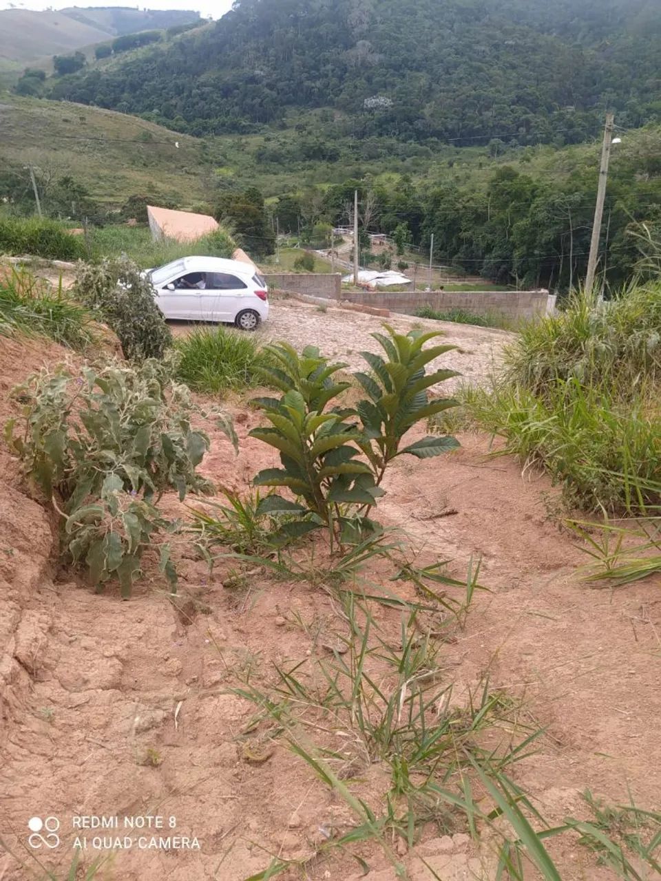 Lote barato