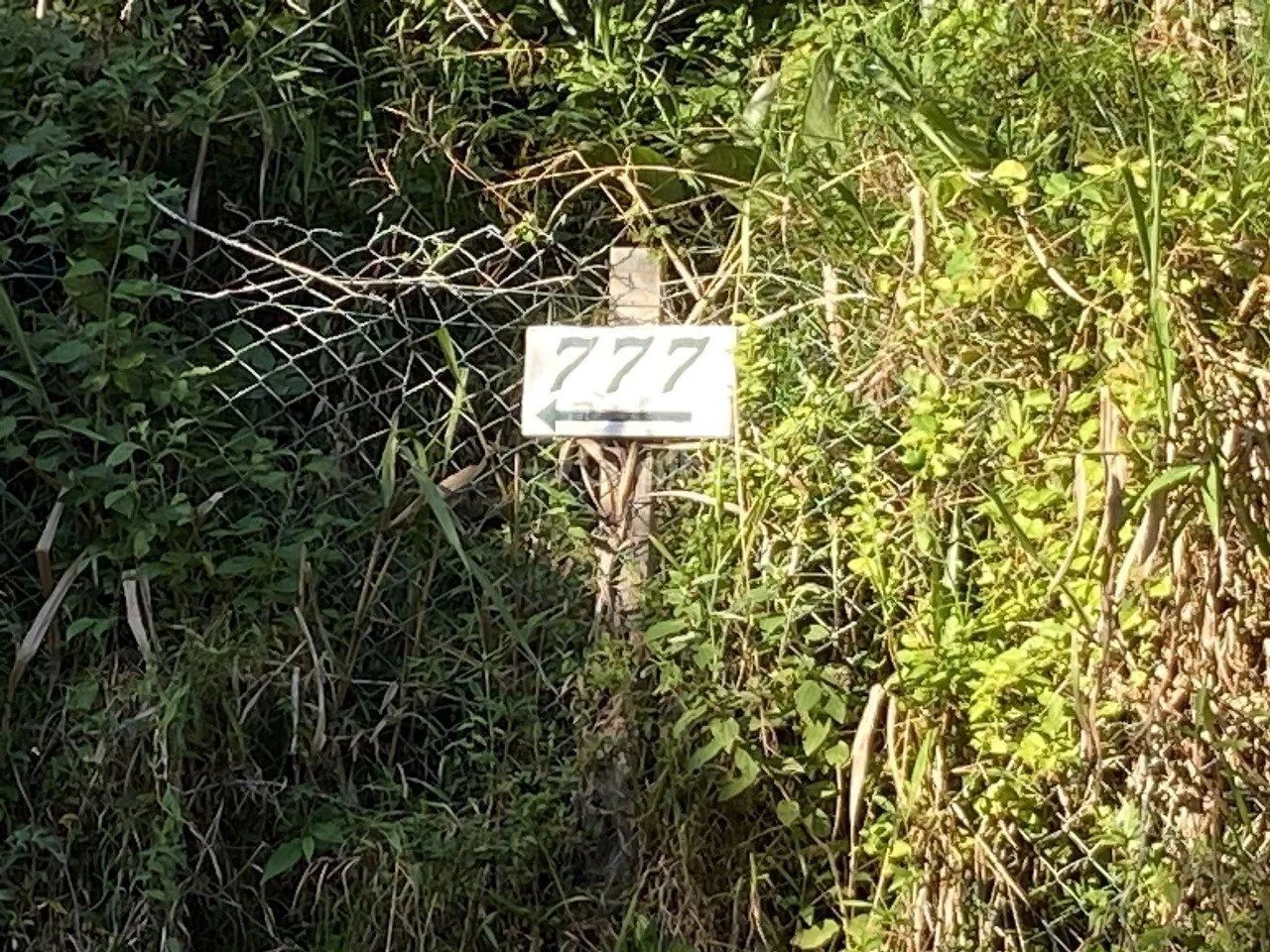 Terreno de 33.000 m² no Pantanal - Foto 4