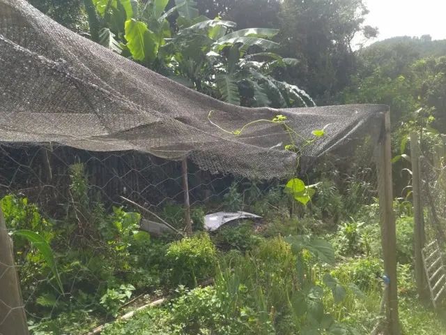 Vendo Chácara em Viana - Foto 6