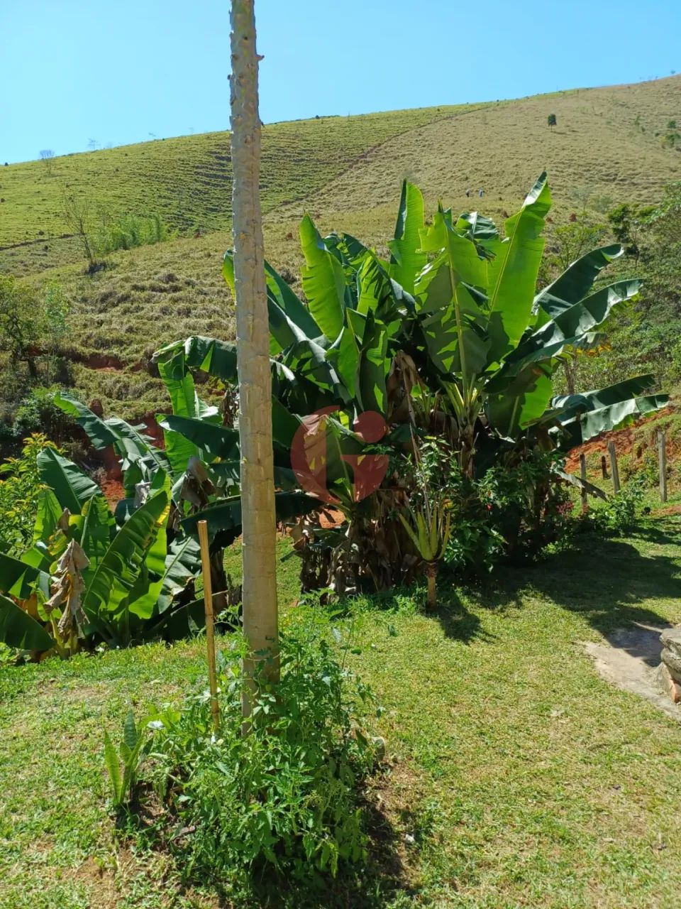 Casa à venda com 4 quartos e 2 banheiros- 30.000 m² de terreno- Monteiro Lobato - Foto 11