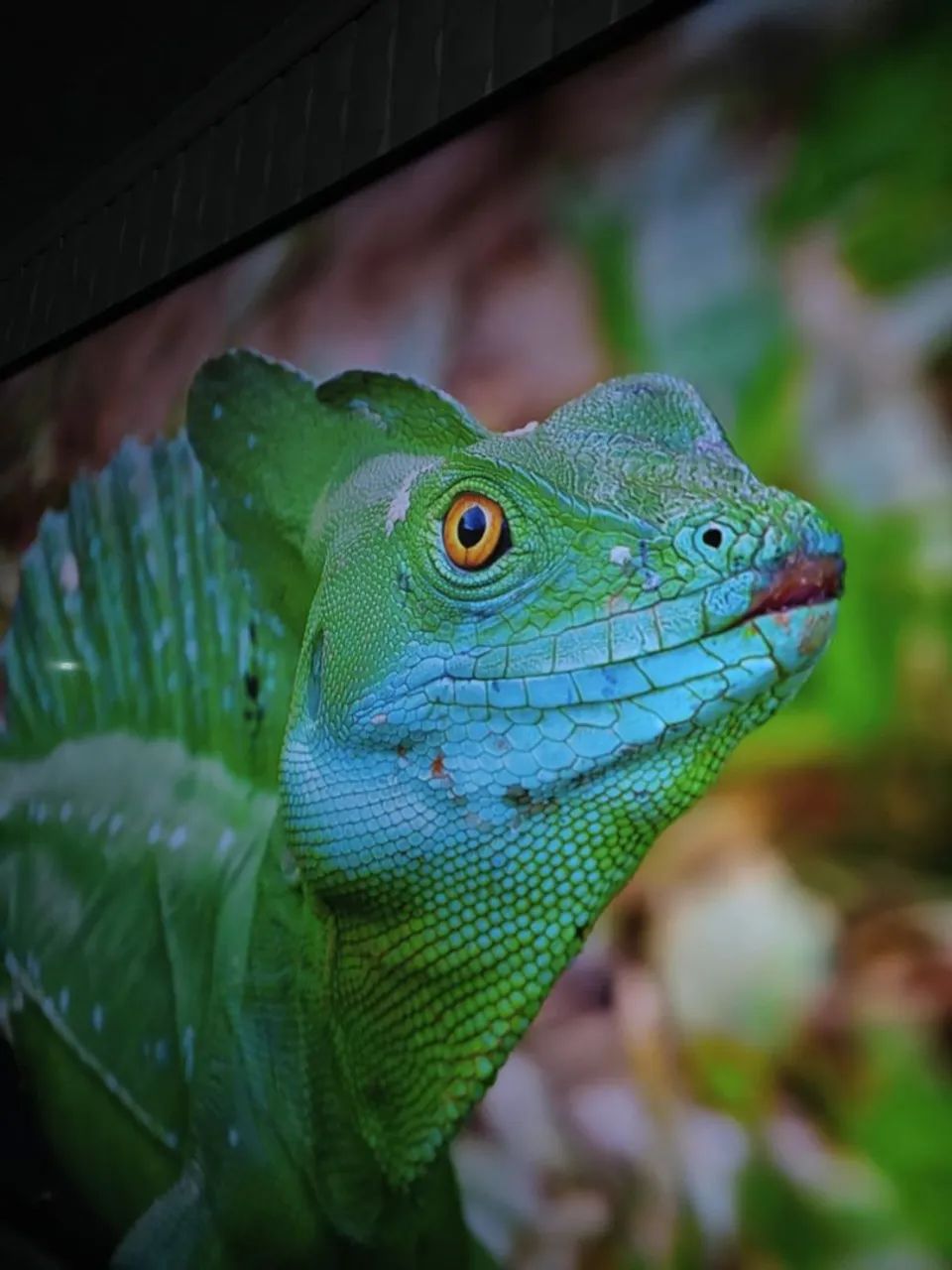 Smart TV LG 55 Polegadas 4k - Foto 3