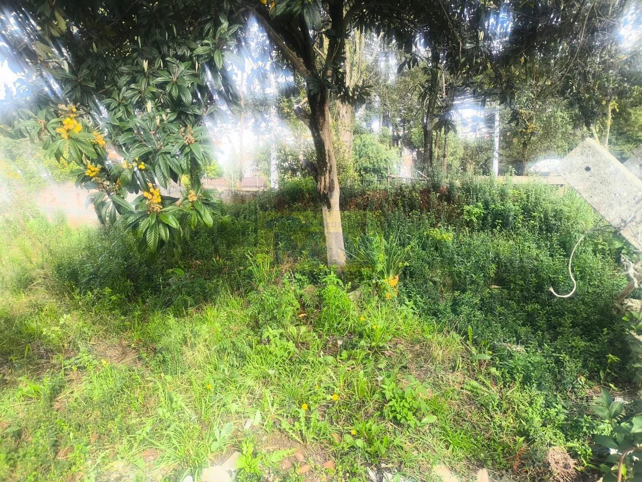 Exclusivo Terreno de Esquina na CIC: Vista Privilegiada para o Parque São Nico - Foto 5