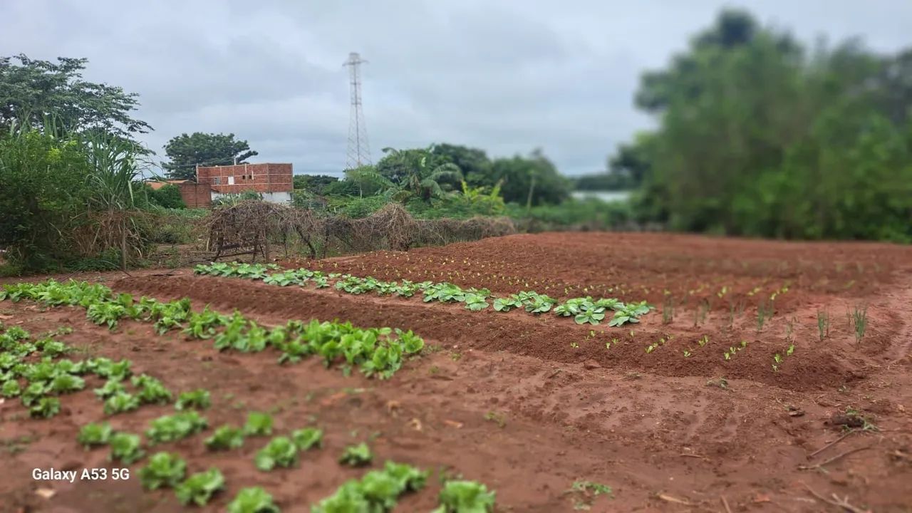 Terreno tipo chácara na entrada da cidade de Sabino - SP e - Foto 4