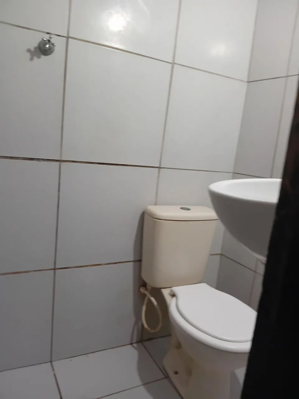 Kitinet