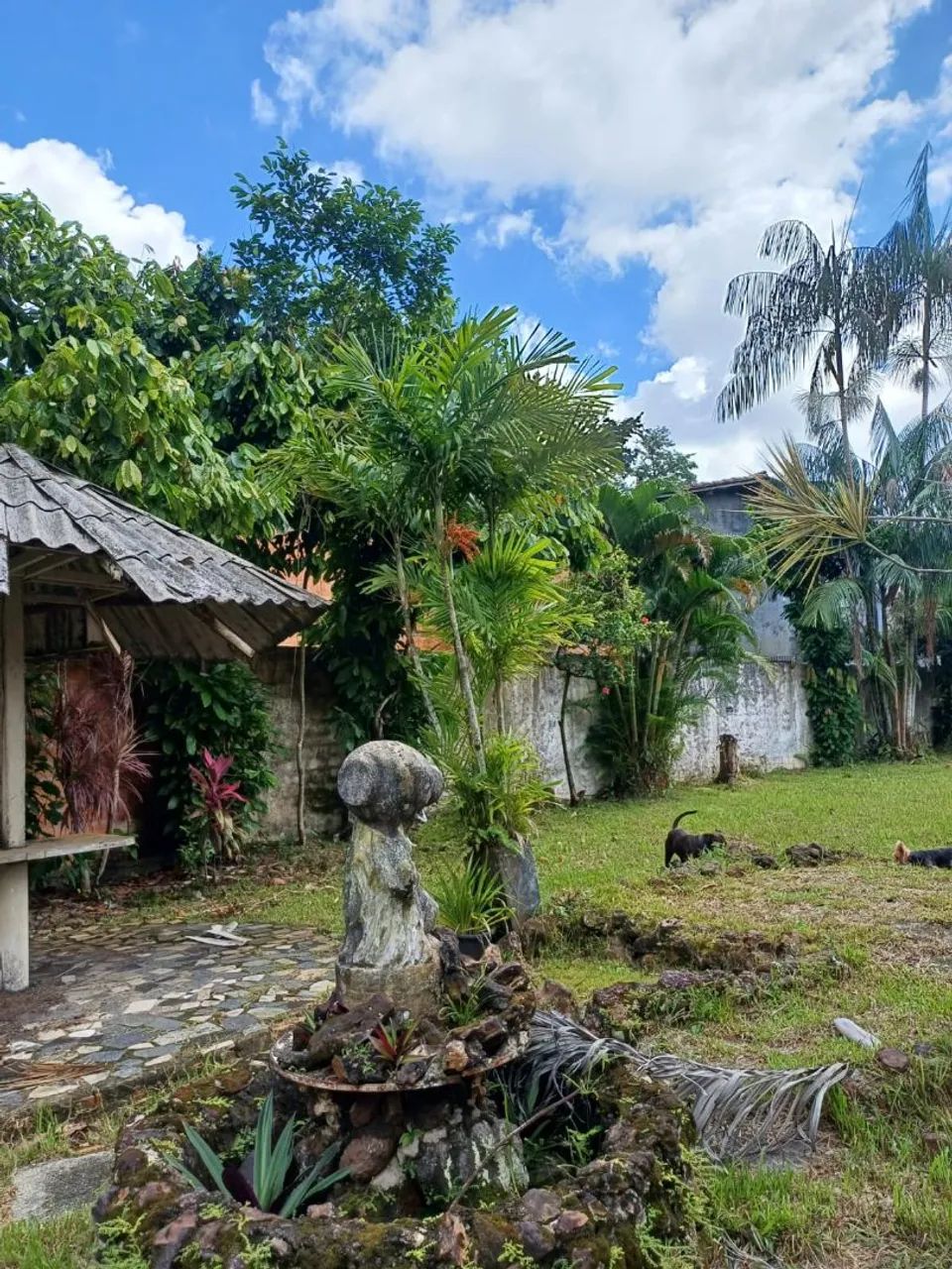 Vendo Exelente Chácara em Belém! - Foto 2