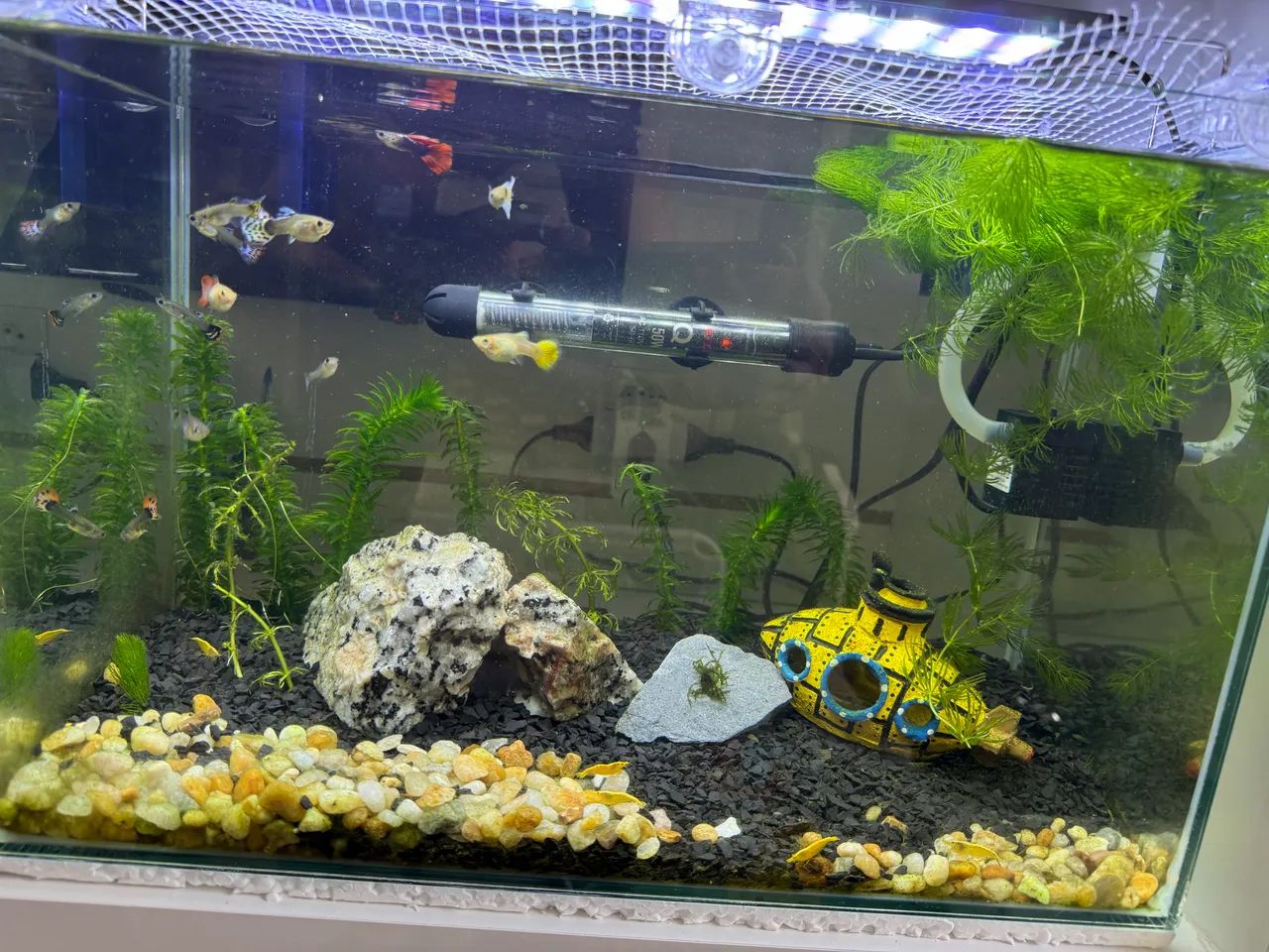 Aquário 32 litros completo com sump e luminária SOMA S-400! Oportunidade. - Foto 3