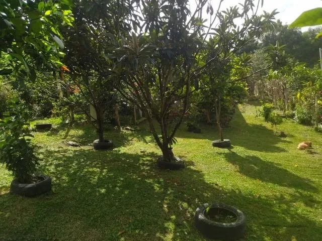 Vendo Chácara em Viana - Foto 9