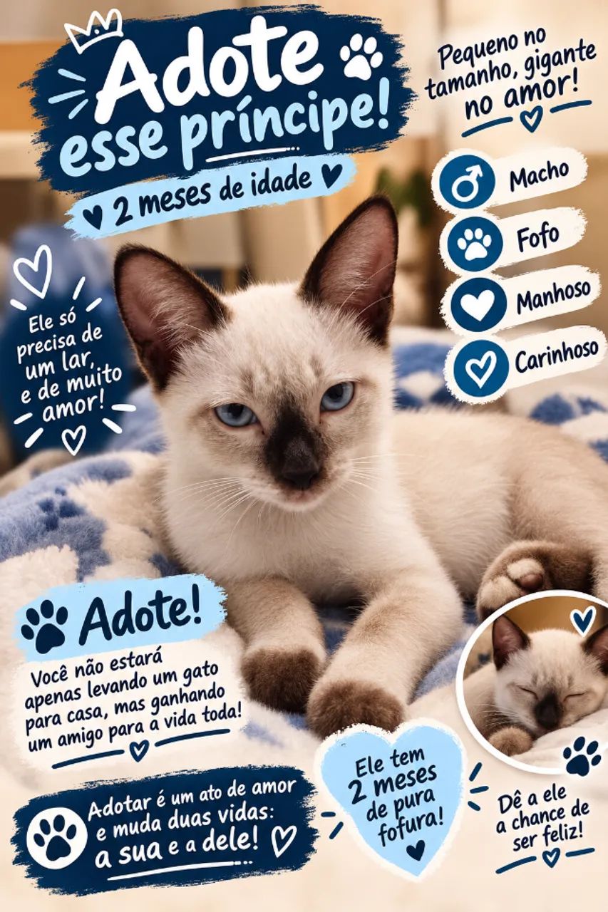Animais  - Foto 3