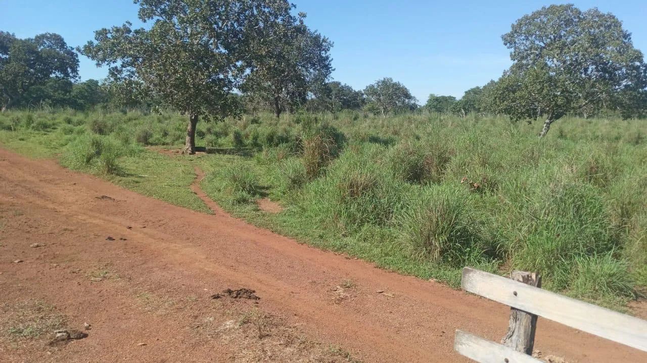 Super oportunidade 23.5 Alq 10 km de Paraíso