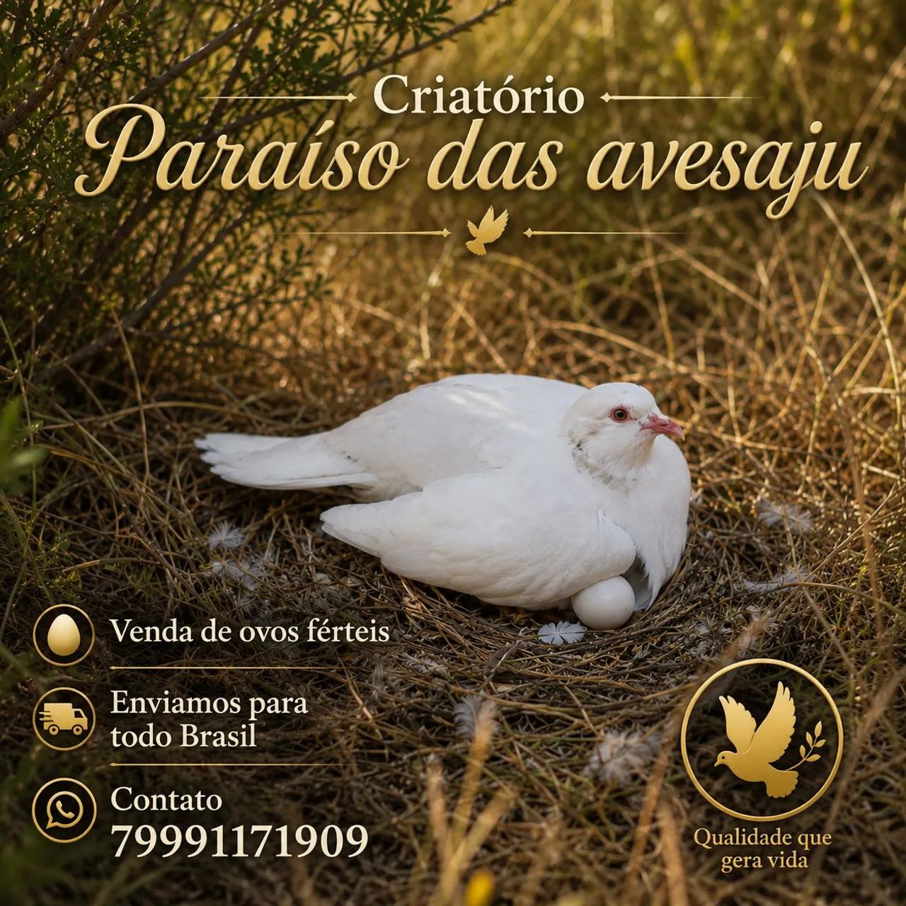 Vendo Perdiz Chukar  - Foto 2