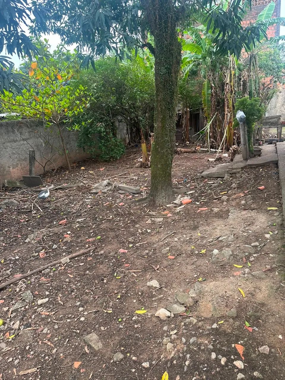 Vendo terreno em comendador  - Foto 4