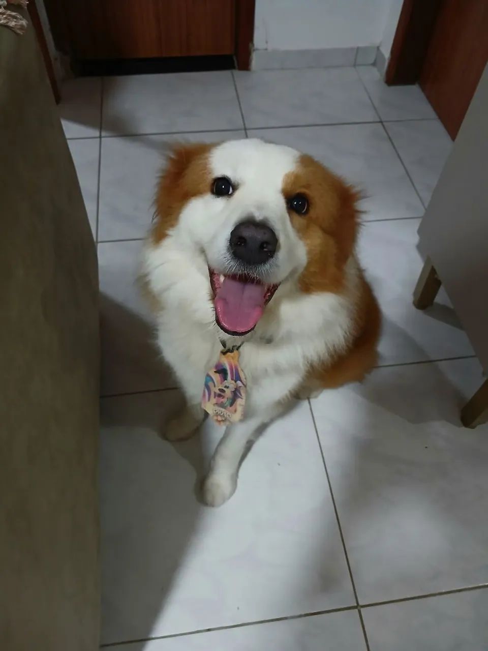 Procurando um aumor - Foto 2