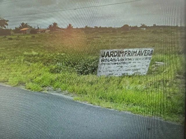 Foto - Ilha Comprida - 