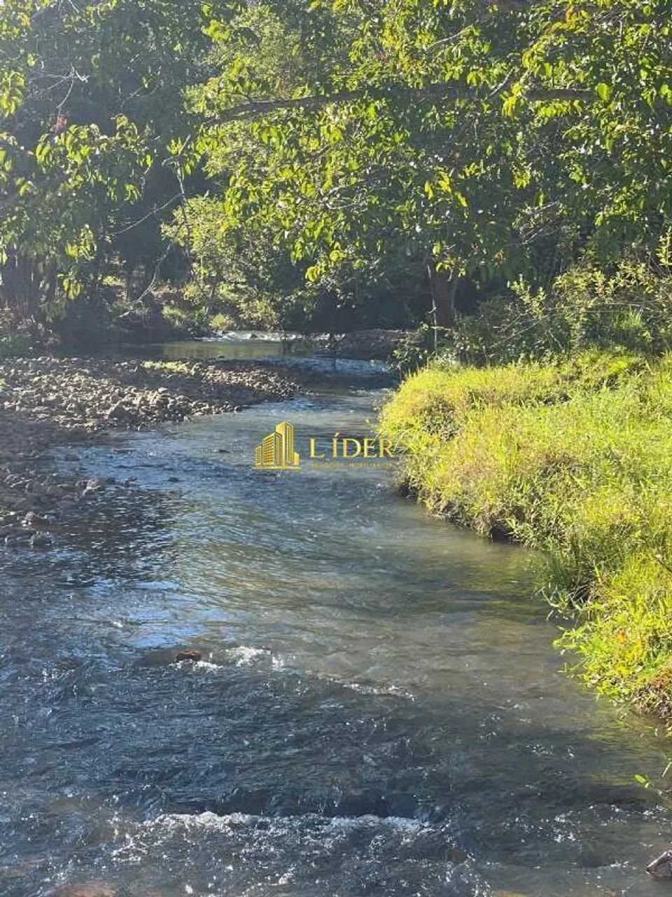 Fazenda à venda, AREA RURAL DE ARAGUARI - Araguari/MG - Foto 9