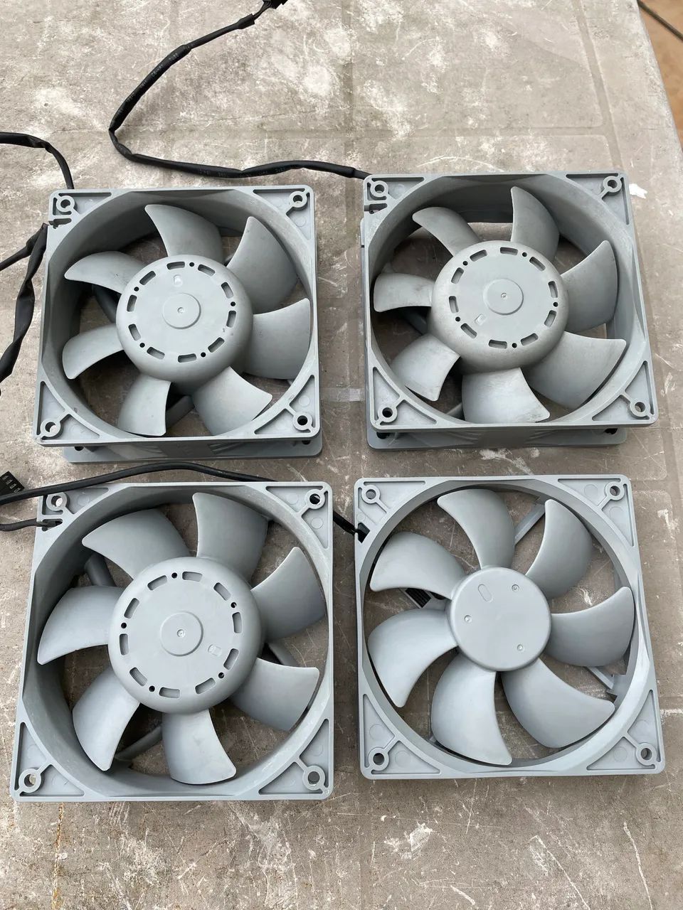 04 Fan 