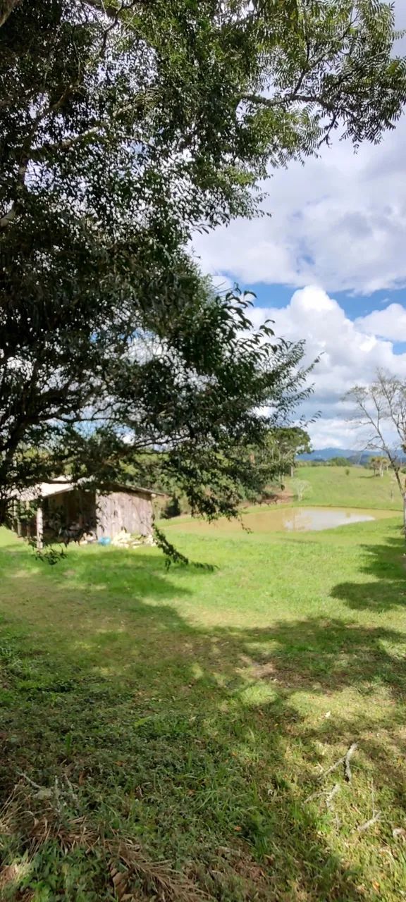Terreno em Rancho Queimado com aproximadamente 2,5 hectares - Foto 3