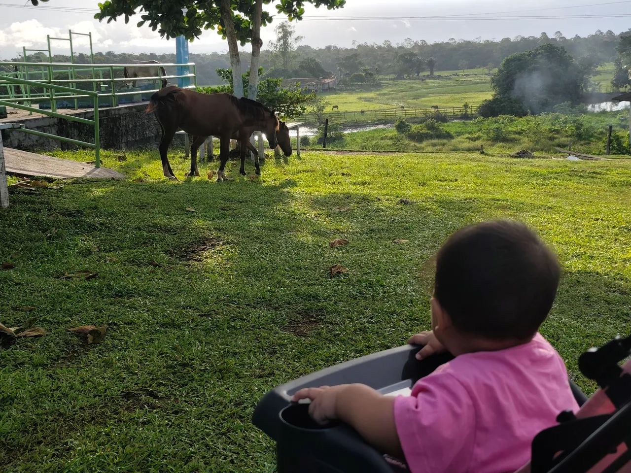 Carrinho de bebe 
