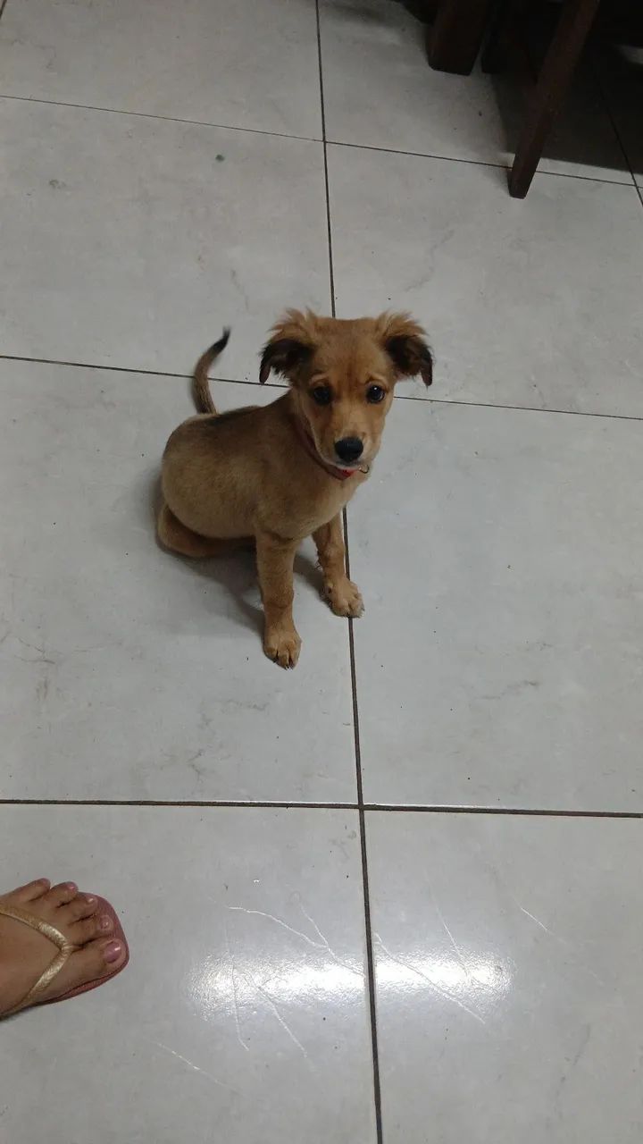 Doação 