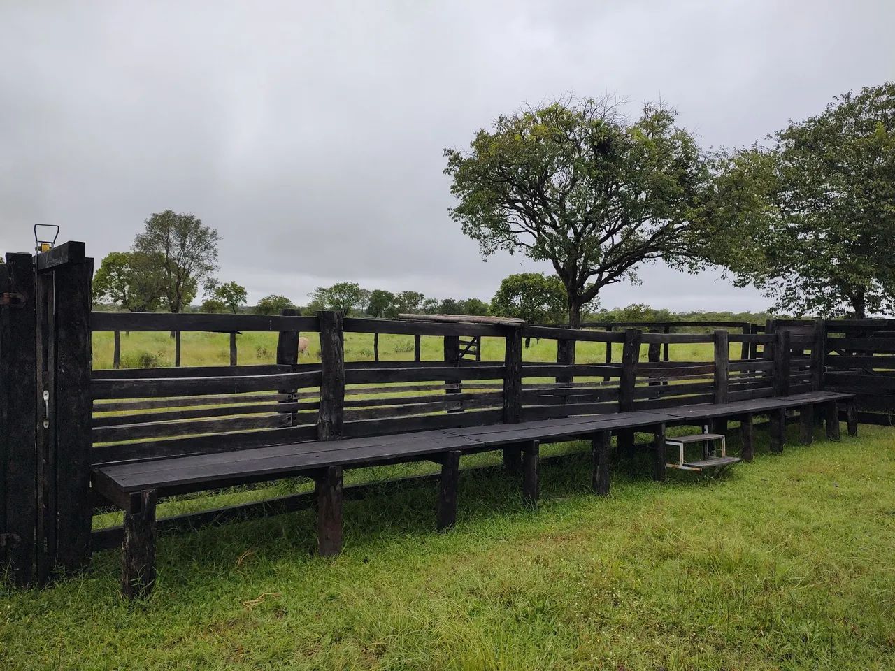 Vendo fazenda em Paranã TO com 272 ha - Foto 4