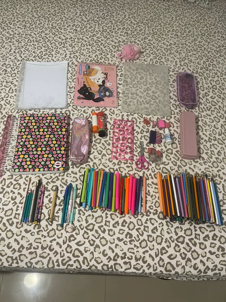 MATERIAL ESCOLAR R$80 TUDO USADO EM ÓTIMO ESTADO TUDO DE MARCA/CAMPINAS 
