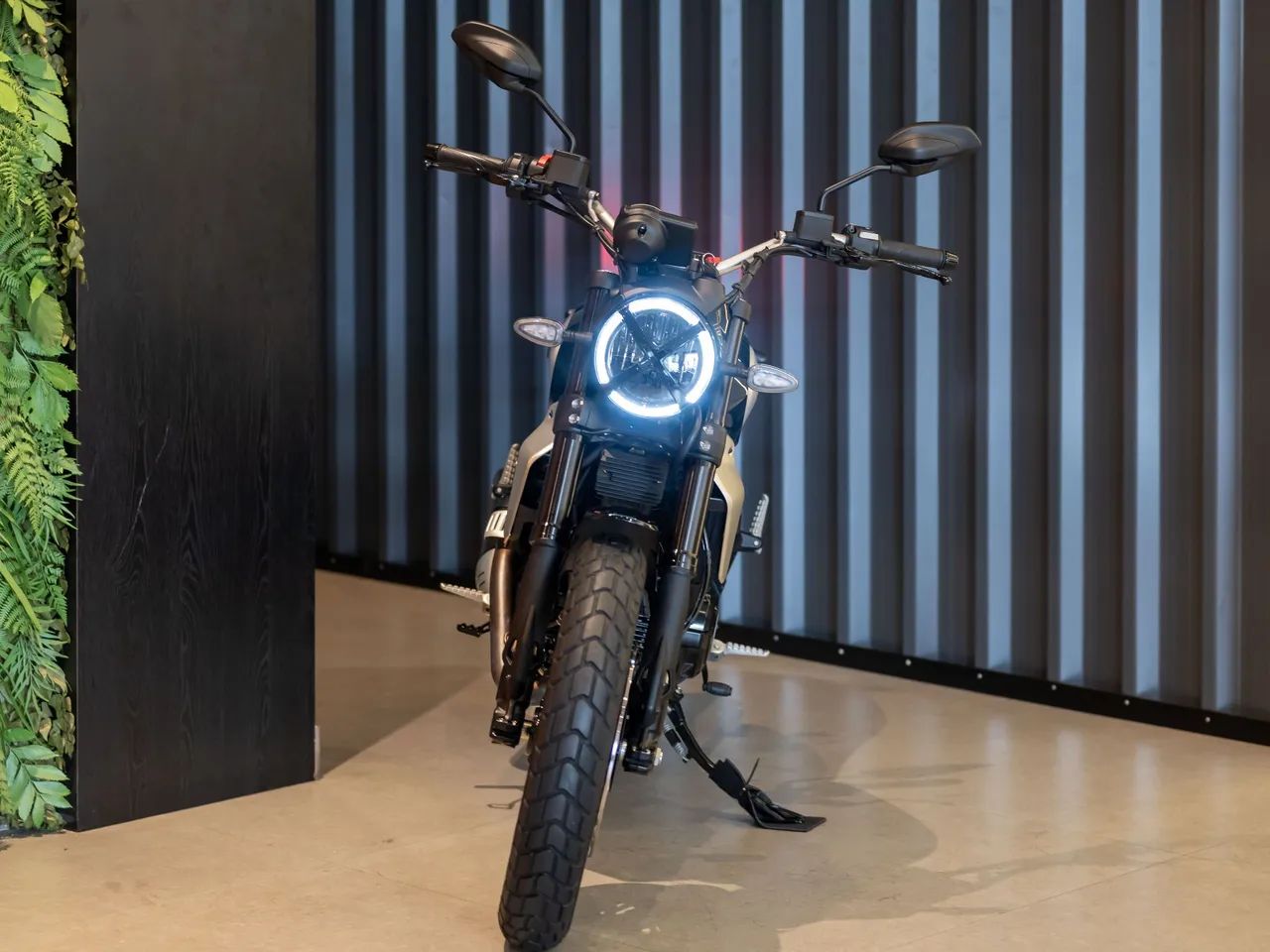 DUCATI SCRAMBLER ICON 2024 - Foto 4