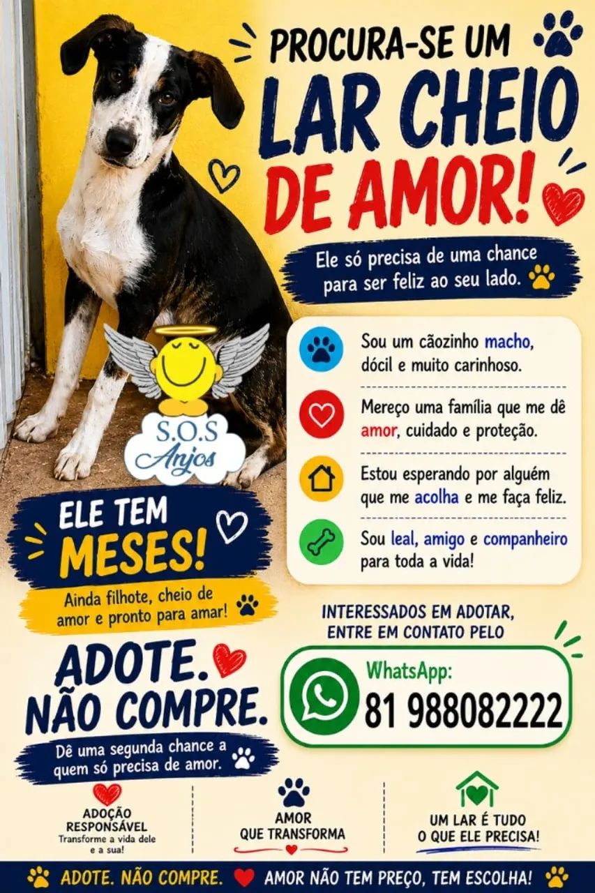 Cachorro 