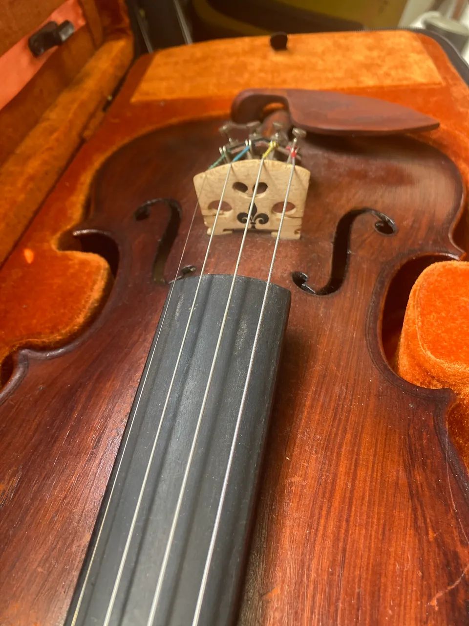 Violino Eagle v441 4/4