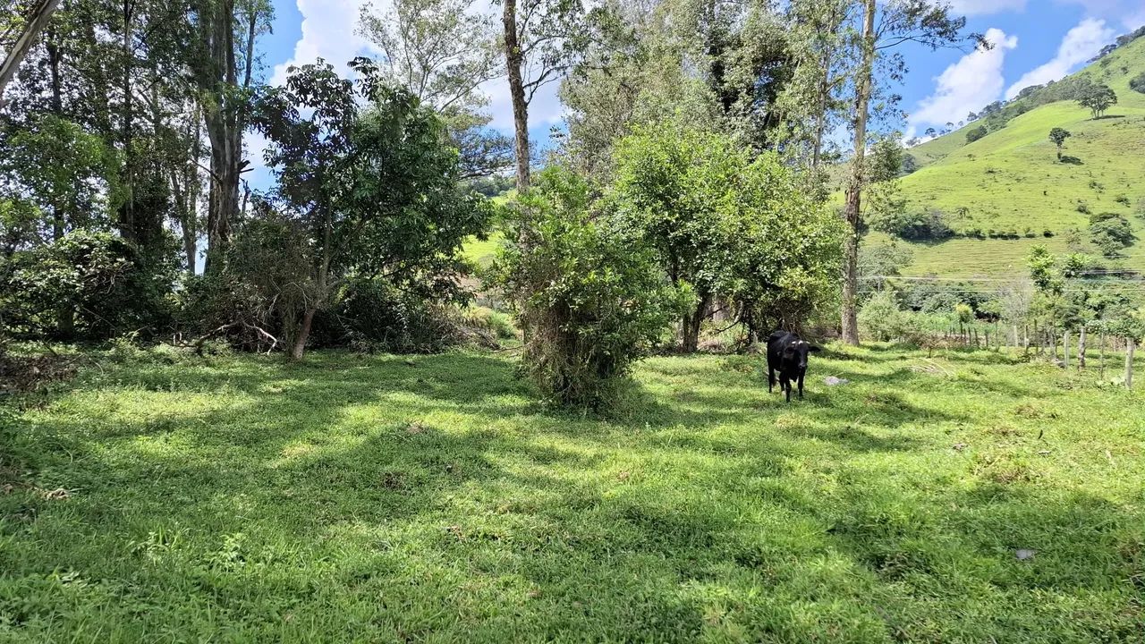 Terreno 9.000m²,Itajubá Mg - Foto 3