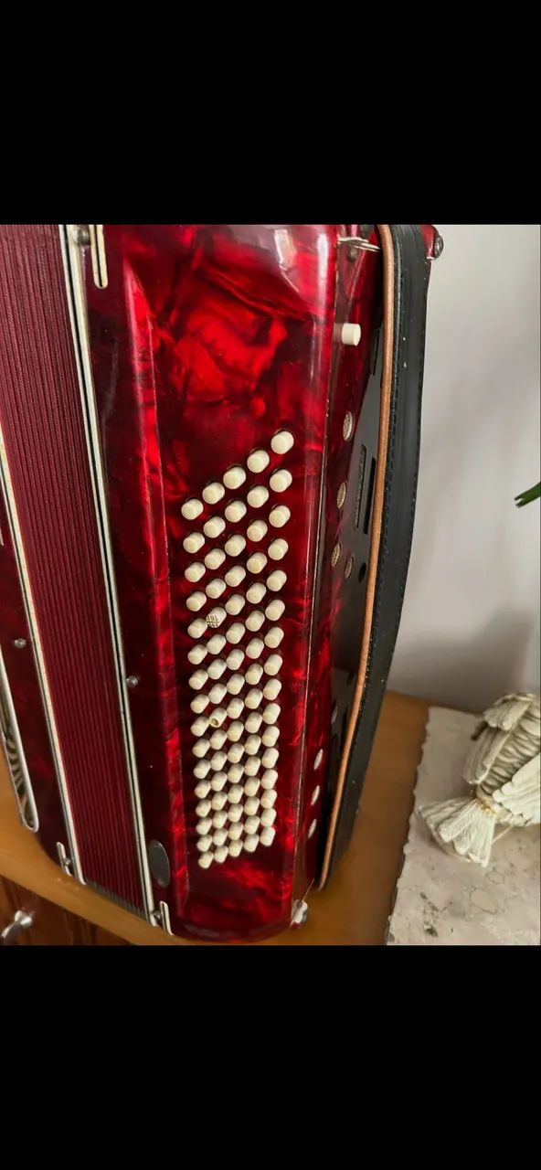PAOLO SOPRANI ACORDEON LINDO 80 BAIXOS  PRECISA AFINAR - Foto 3