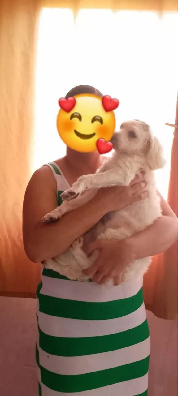 Adoção com amor e muita responsabilidade 